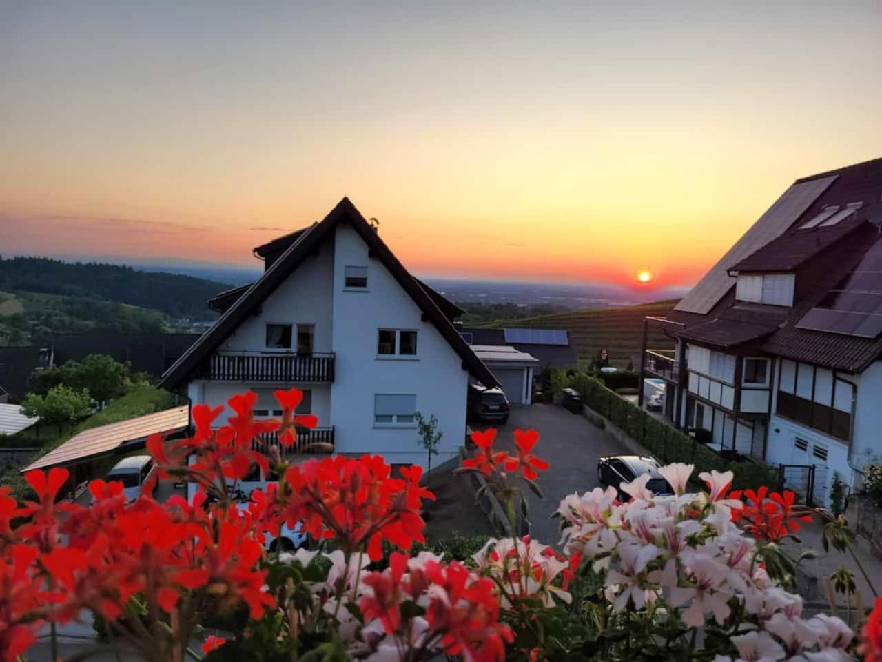 Renatas Ferienwohnung Isabel Засбахвальден Екстер'єр фото